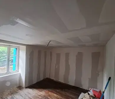 Création de faux-plafond Ploërmel-2