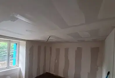 plaquiste Languidic-5